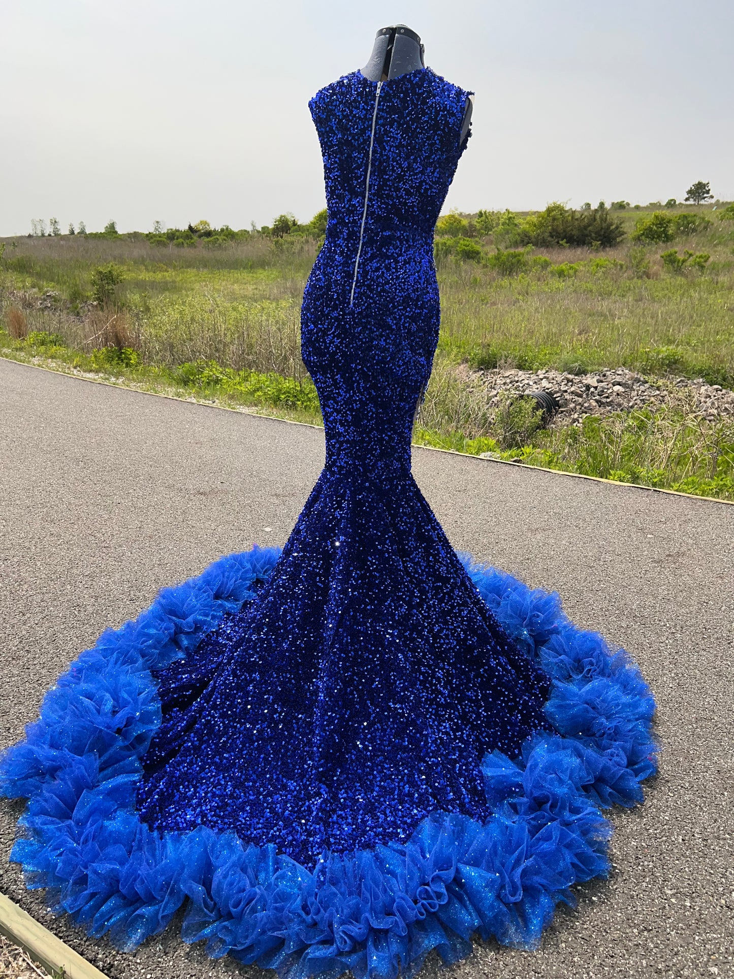 Blue Royalty (Sale Gown)
